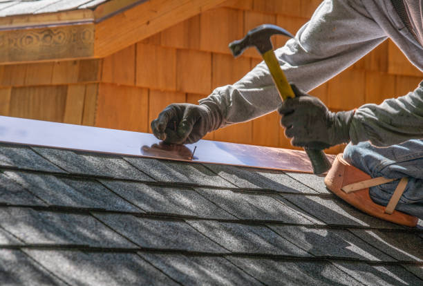 Best Metal Roofing Installation  in Wilkinson Heights, SC