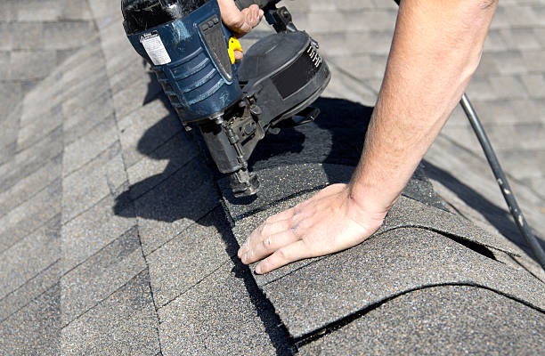 Best Skylight Installation and Repair  in Wilkinson Heights, SC