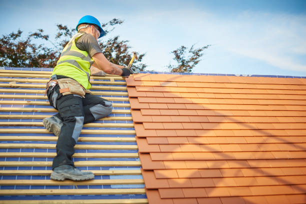 Best Steel Roofing  in Wilkinson Heights, SC